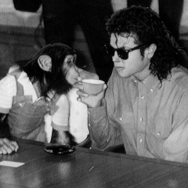 Michael Jackson, Bubbles the chimp