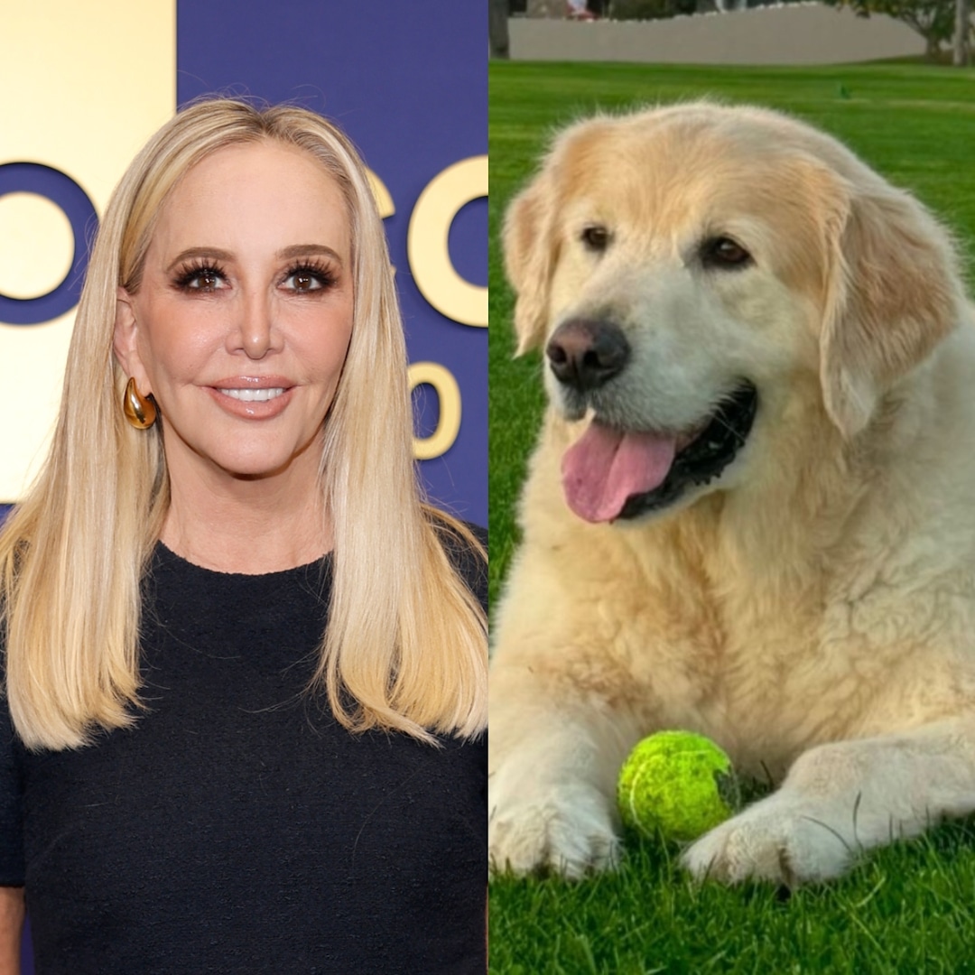 RHOC’s Shannon Beador Shares Dog Archie Died After Brain Cancer Diagnosis RHOC’s Shannon Beador Shares Dog Archie Died After Brain Cancer Diagnosis