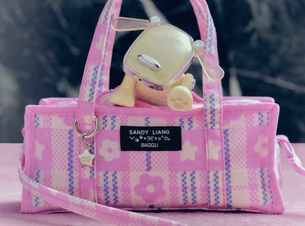 The Sandy Liang x Baggu Collaboration Is Finally Here! Get The Limited-Edition Styles Before They're Gone