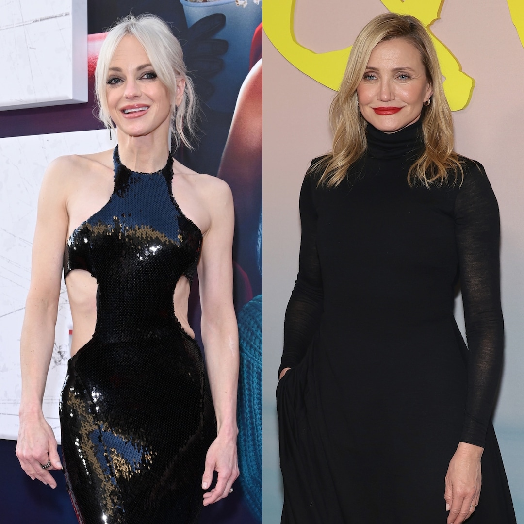 Anna Faris Denies Shading Cameron Diaz With Lost in Translation Role Anna Faris Denies Shading Cameron Diaz With Lost in Translation Role